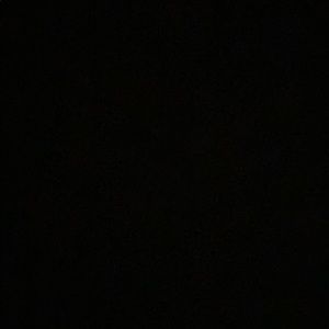 Meet your Posher, Noah